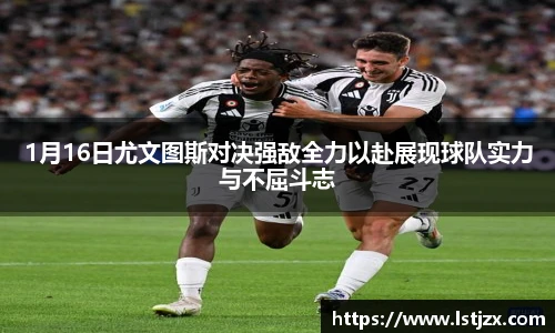 xc体育